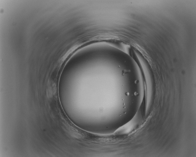 X0000067001465200603311602