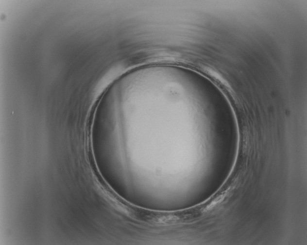 X0000067001467200603311602