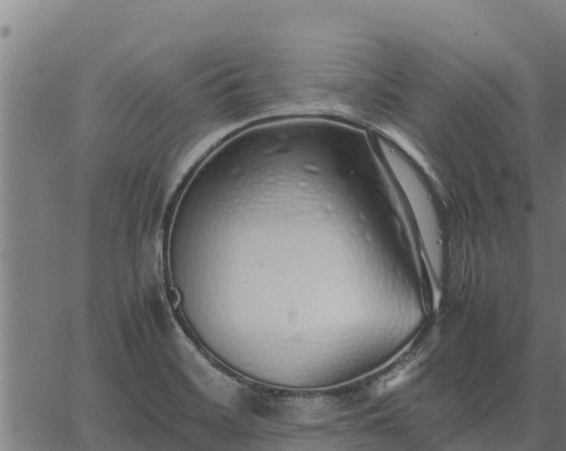 X0000067001468200603311602