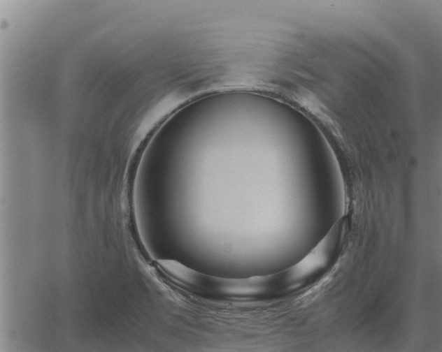 X0000067001469200603311602