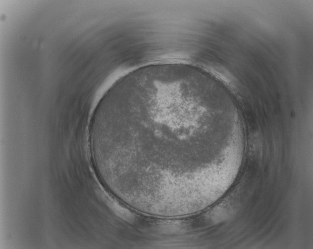 X0000067001470200603311602