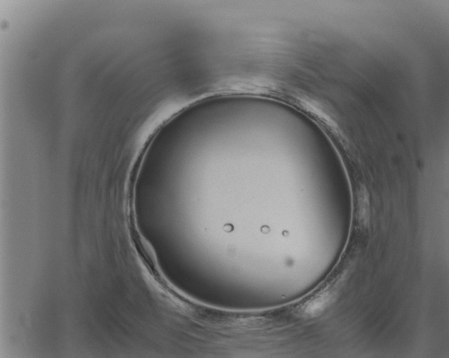 X0000067001471200603311602