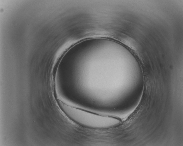 X0000067001472200603311602