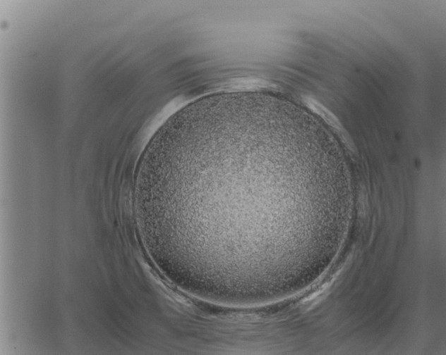 X0000067001473200603311602