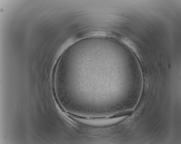 X0000067001475200603311602