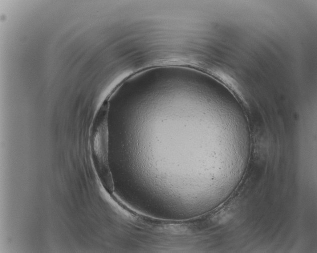 X0000067001476200603311602