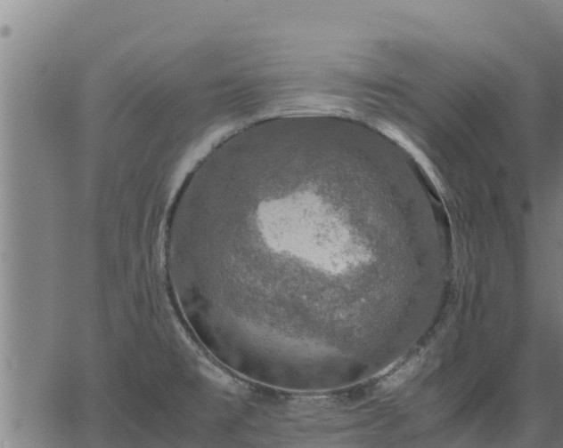 X0000067001477200603311602