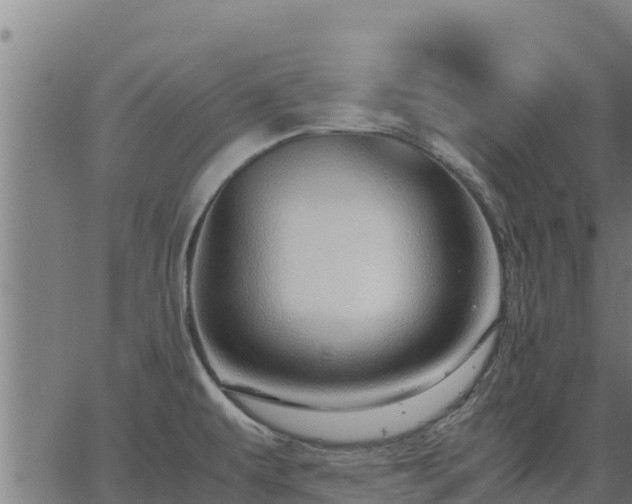 X0000067001479200603311602