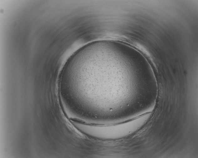 X0000067001480200603311602