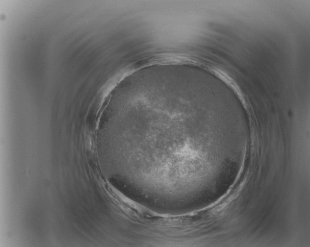 X0000067001481200603311602