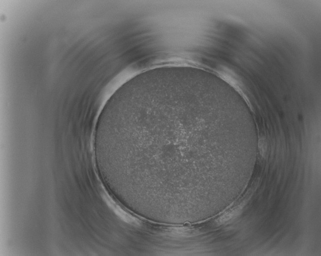 X0000067001482200603311602