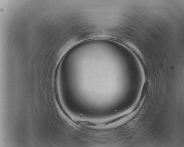 X0000067001483200603311602