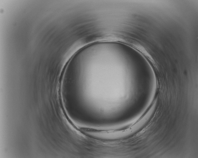 X0000067001484200603311602