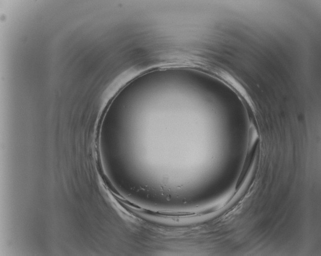 X0000067001485200603311602