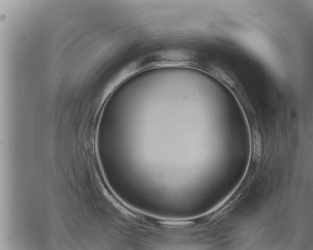 X0000067001487200603311602