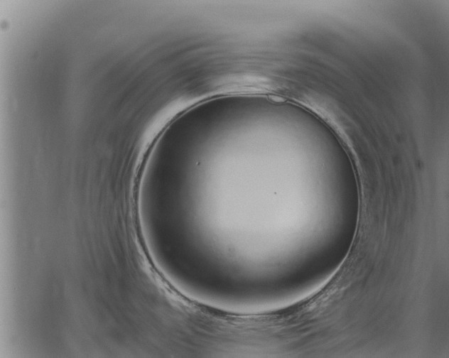 X0000067001488200603311602