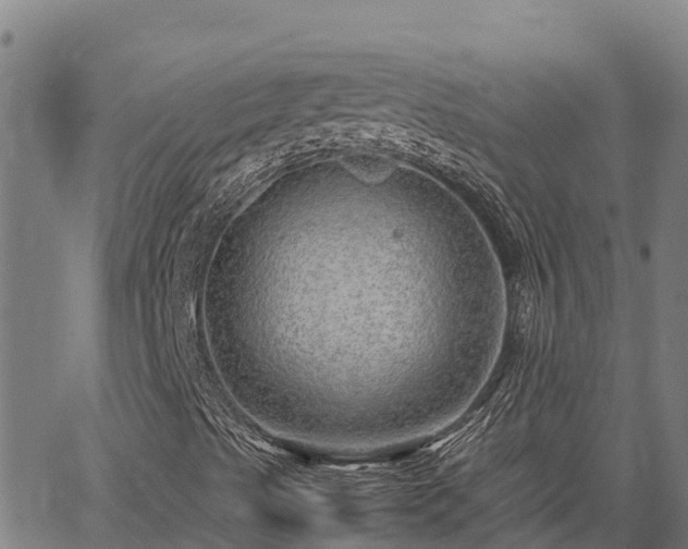 X0000067001489200603311601