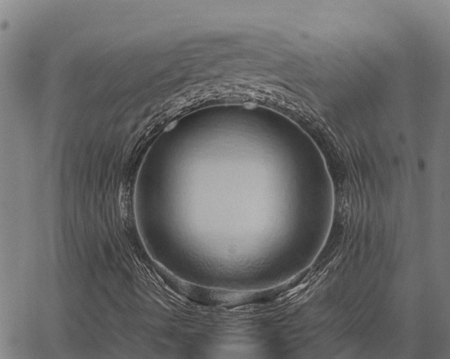 X0000067001490200603311601