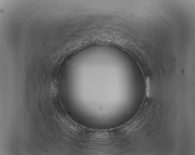 X0000067001491200603311601