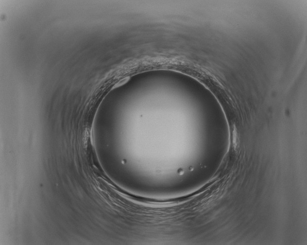 X0000067001492200603311601