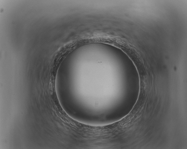 X0000067001493200603311601