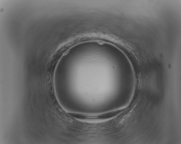 X0000067001494200603311601