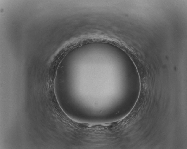 X0000067001495200603311601