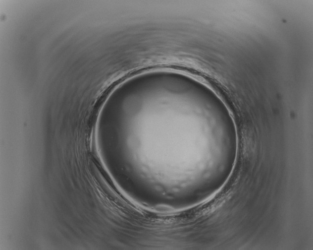 X0000067001497200603311601