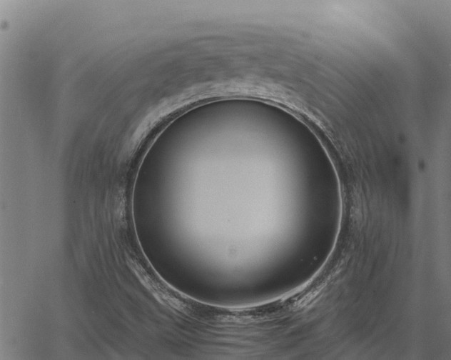 X0000067001499200603311601