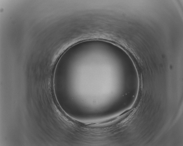 X0000067001500200603311601