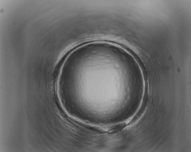 X0000067001501200603311601