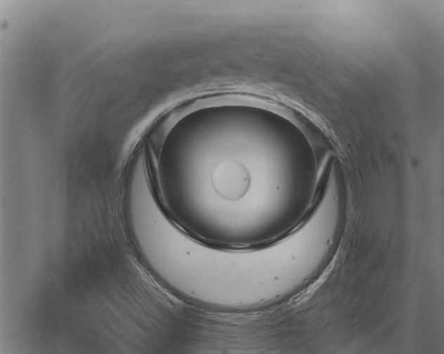 X0000067001502200603311601