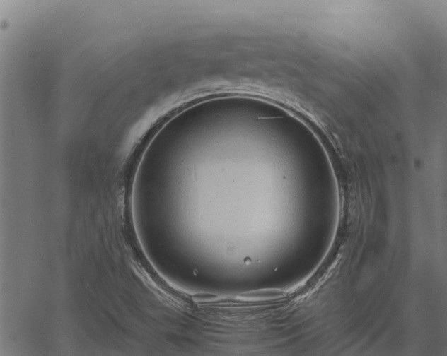 X0000067001503200603311601