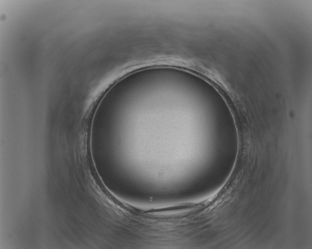 X0000067001504200603311601