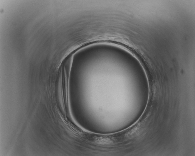 X0000067001505200603311601