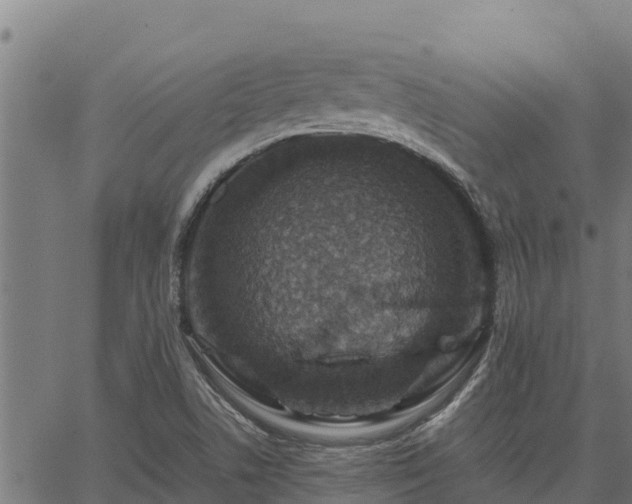 X0000067001506200603311601