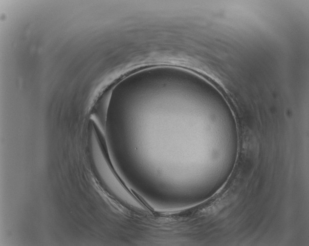 X0000067001507200603311601