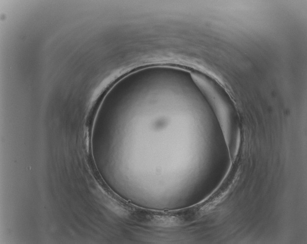 X0000067001509200603311601