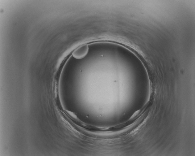 X0000067001510200603311601