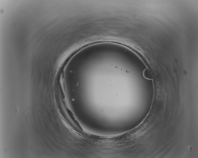 X0000067001511200603311601