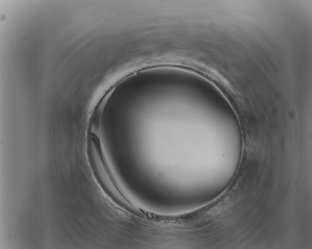 X0000067001512200603311601