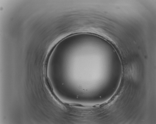 X0000067001517200603311601