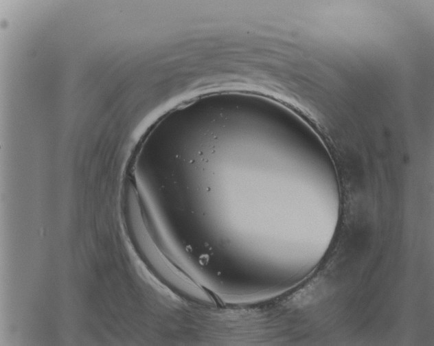 X0000067001518200603311601