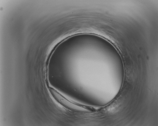 X0000067001519200603311601