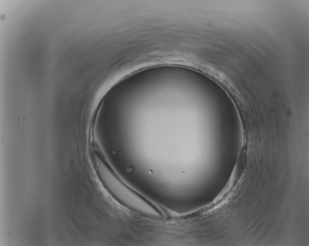 X0000067001520200603311601