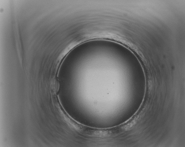 X0000067001521200603311601