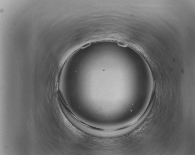 X0000067001524200603311601