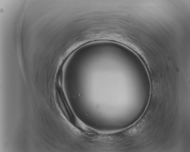 X0000067001525200603311601