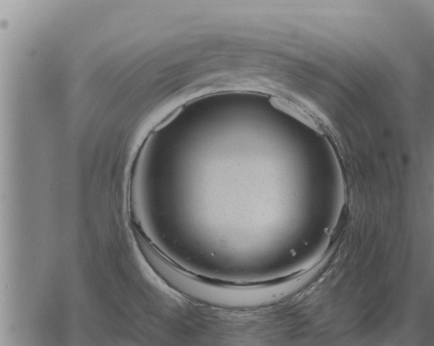 X0000067001528200603311601