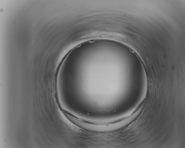 X0000067001531200603311602